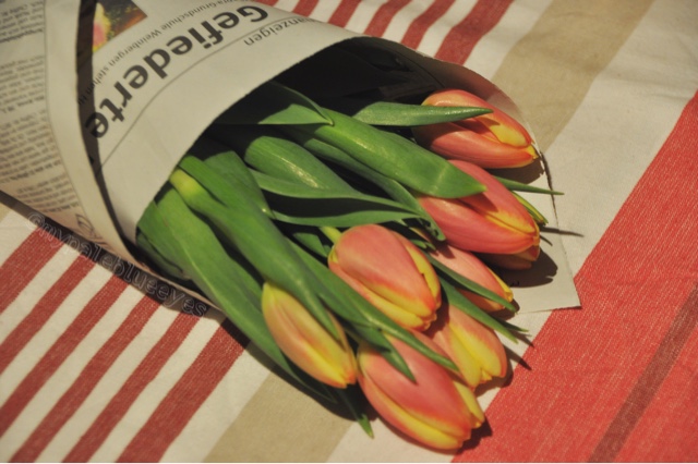 Tulpen für zu Hause