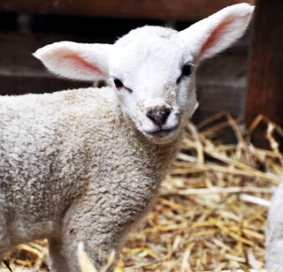 11 Fakten über Ostern