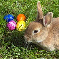 11 Fakten über Ostern