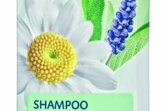 ISANA_Shampoo_Kraeuter