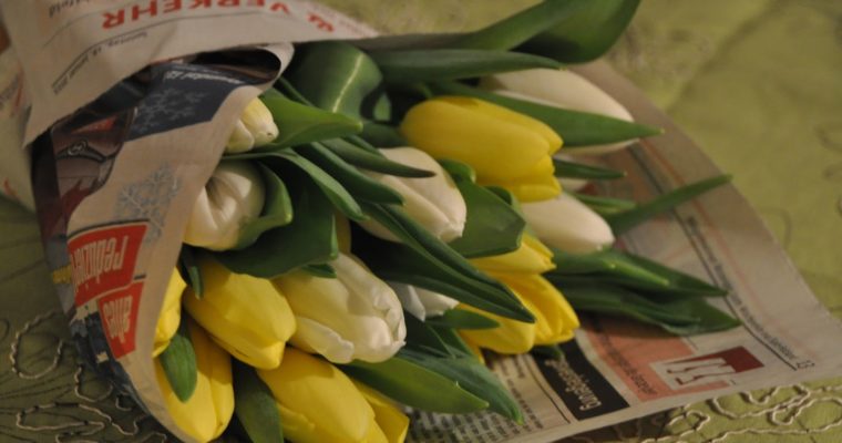 Tulpen in der Vase  🌷 So bleiben sie länger frisch.