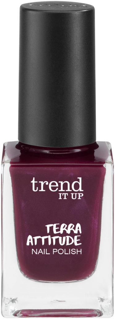 trend IT UP Terra Attitude