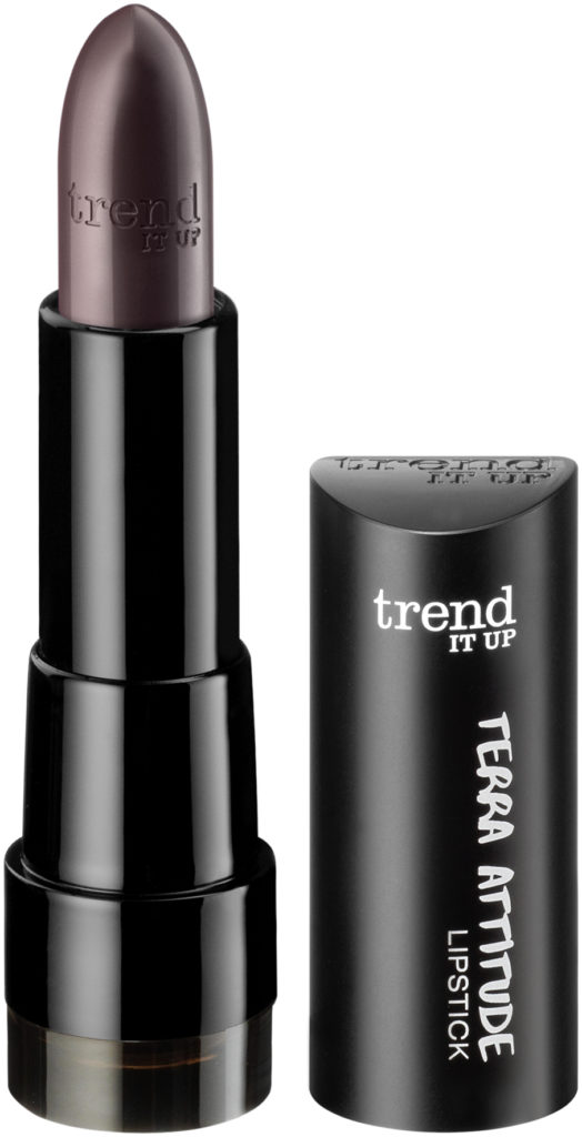 trend IT UP Terra Attitude