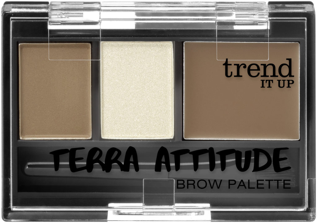 trend IT UP Terra Attitude