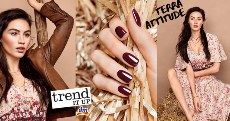 PREVIEW: trend IT UP Terra Attitude