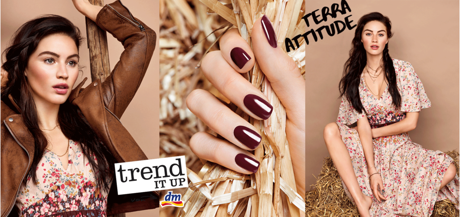 PREVIEW: trend IT UP Terra Attitude